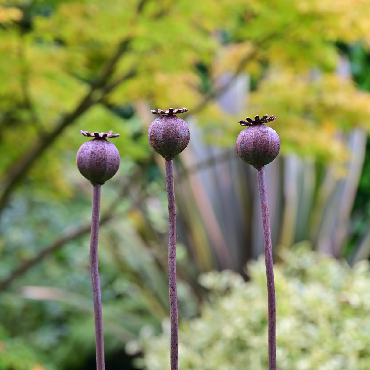 Three Metal Garden Flower Poppy Seedhead Sculptures with Elegant Design for Outdoor Decor