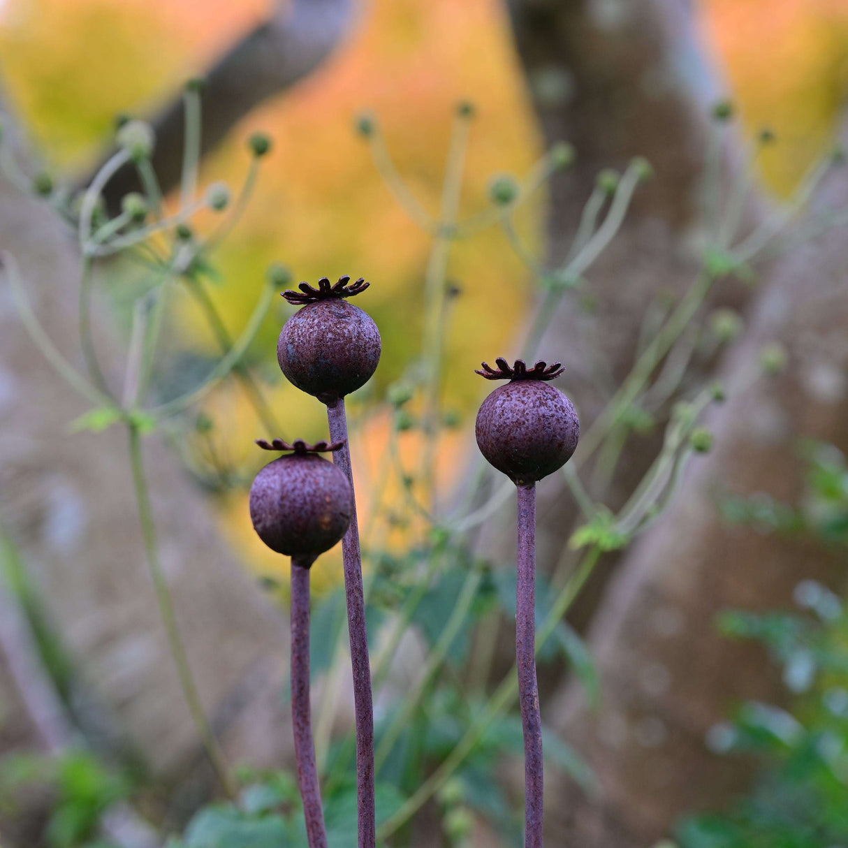 Three metal garden flower sculptures resembling Poppy Seedhead, elegantly designed for outdoor decor