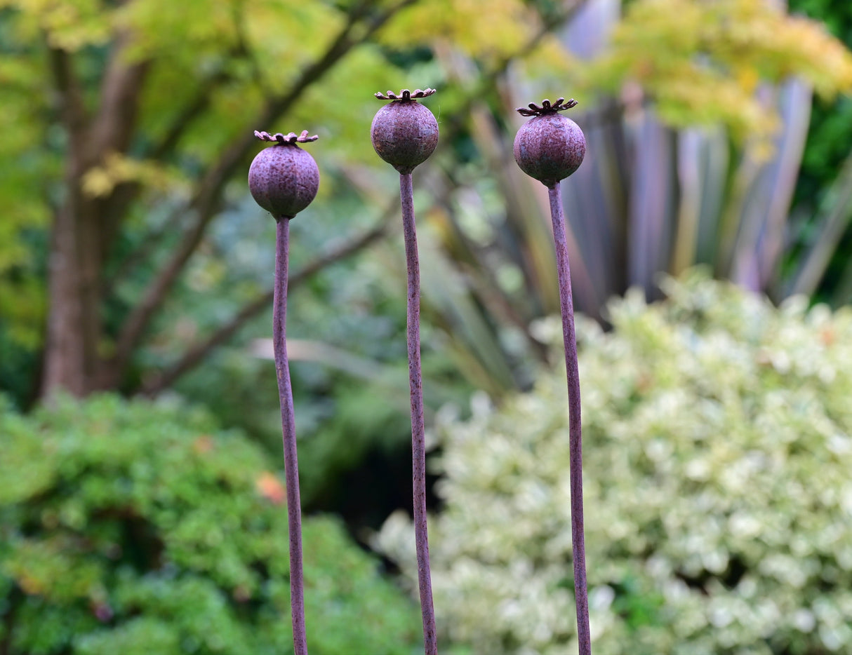 Decorative metal garden flower featuring three Poppy Seedheads with intricate designs for outdoor aesthetics