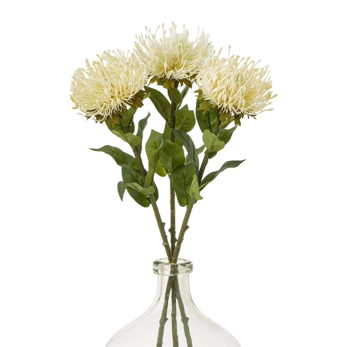 Shades 4 Seasons Protea Lorea Stem for Home Decor Shades 4 Seasons