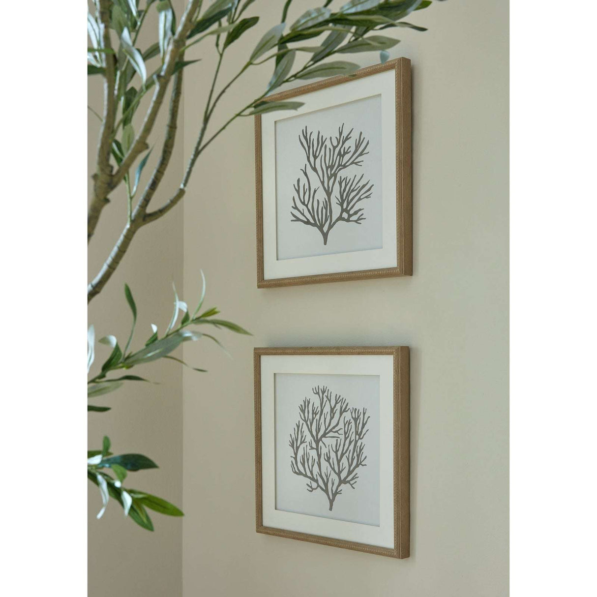 Reef Coral Art Mounted In Beaded Frame Shades 4 Seasons