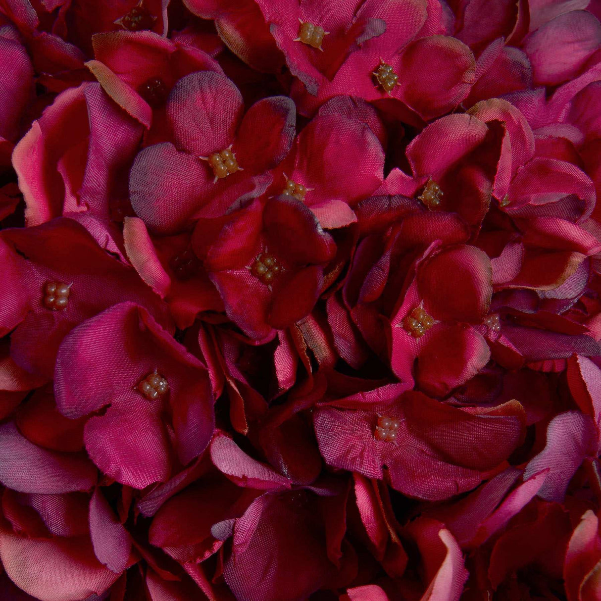 Shades 4 Seasons Ruby Hydrangea Single Stem Flower Shades 4 Seasons