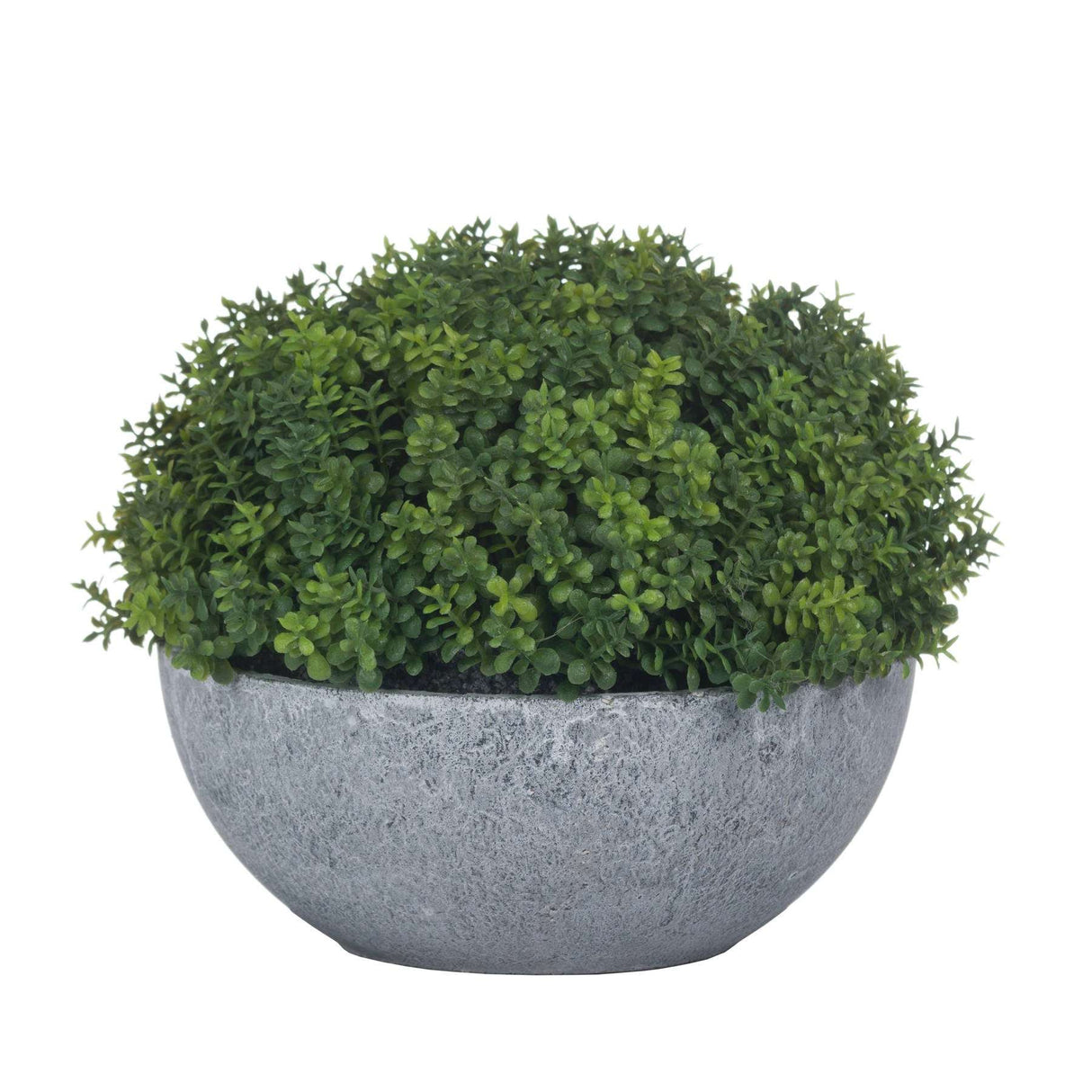 Shades 4 Seasons Small Hebe Artificial Potted Plant Shades 4 Seasons