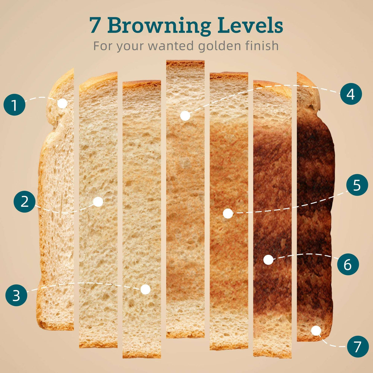 Toaster with 7 browning levels to achieve your preferred golden finish for toast
