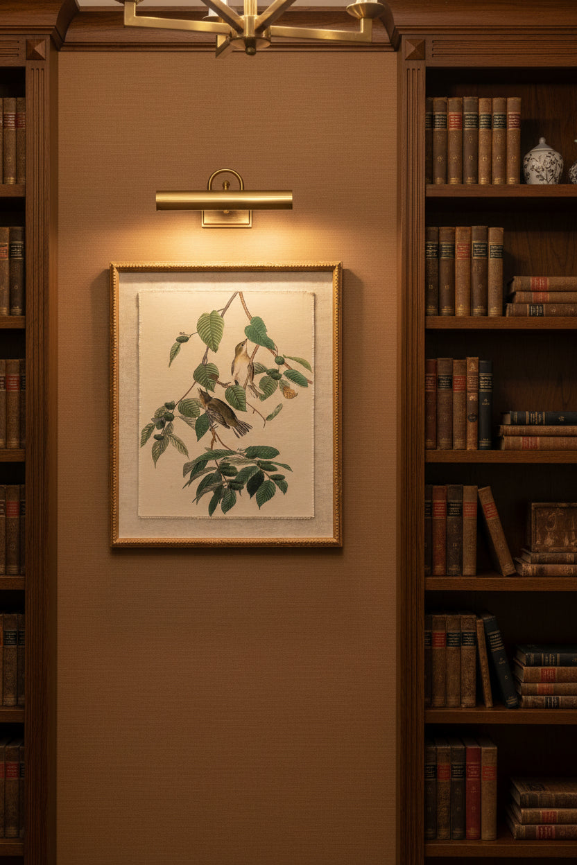 Elegant wall art featuring botanical illustration, framed and illuminated in a library setting