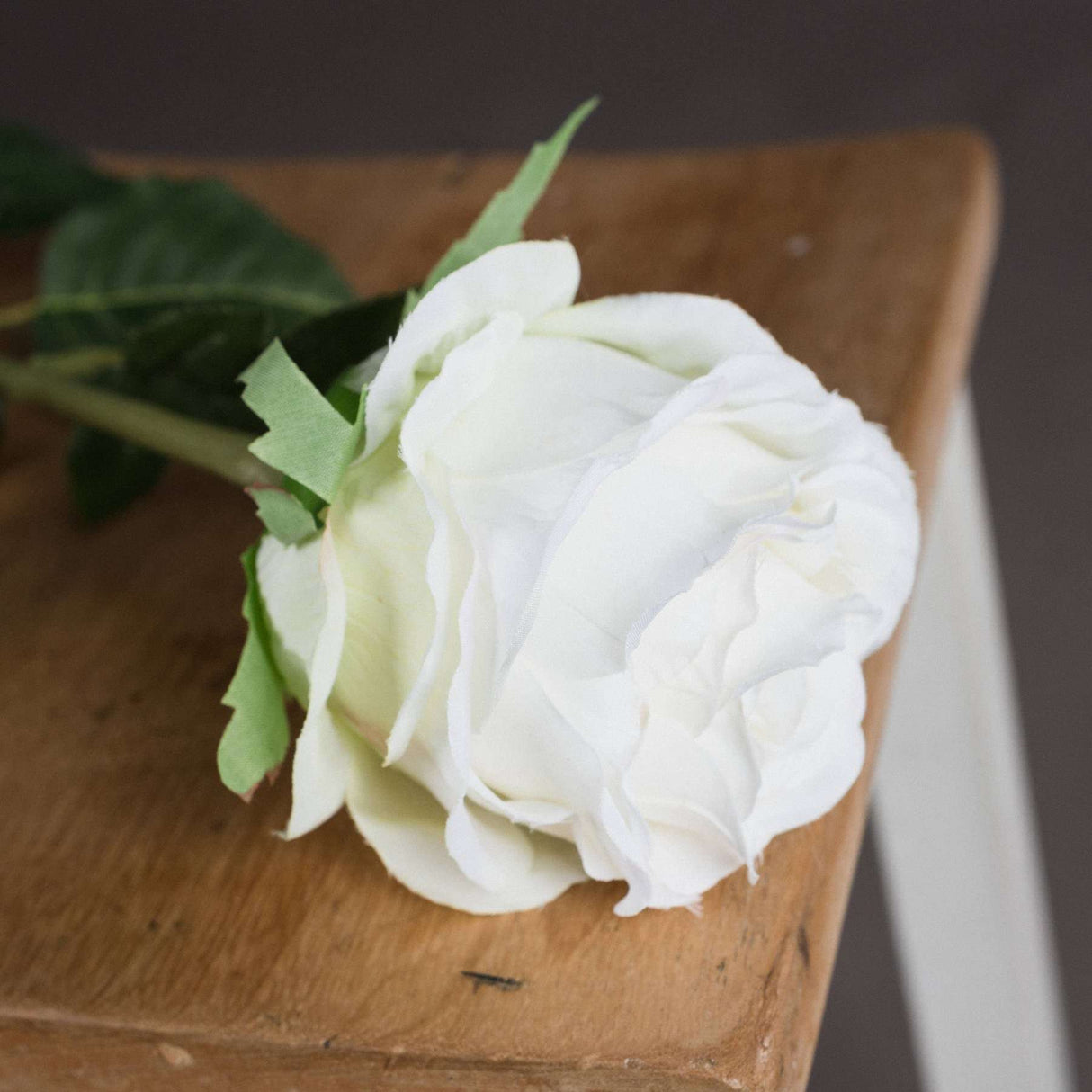 Shades 4 Seasons White Rose Single Stem Flower Shades 4 Seasons