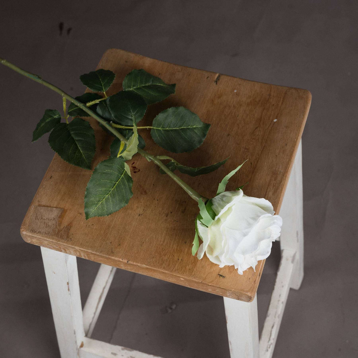 Shades 4 Seasons White Rose Single Stem Flower Shades 4 Seasons