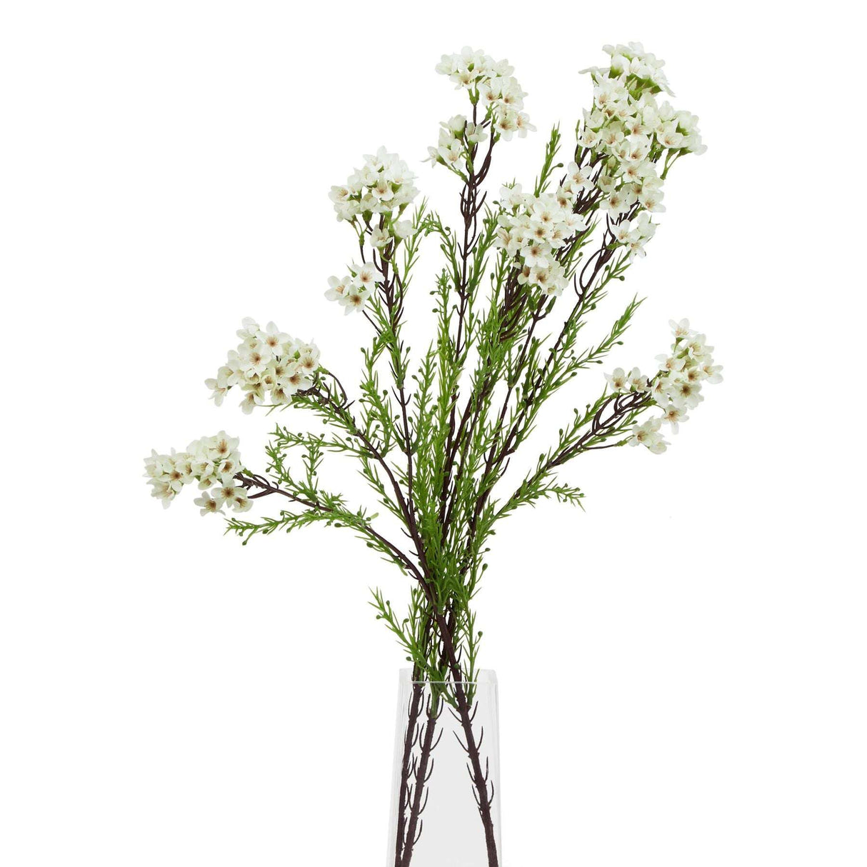 The Natural Garden Collection White Waxflower Shades 4 Seasons