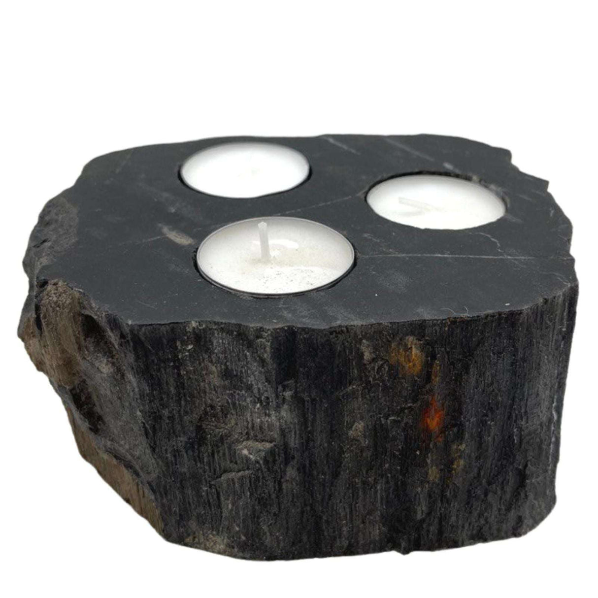 Petrified Wood Candle Holder - Triple AW-Dropship