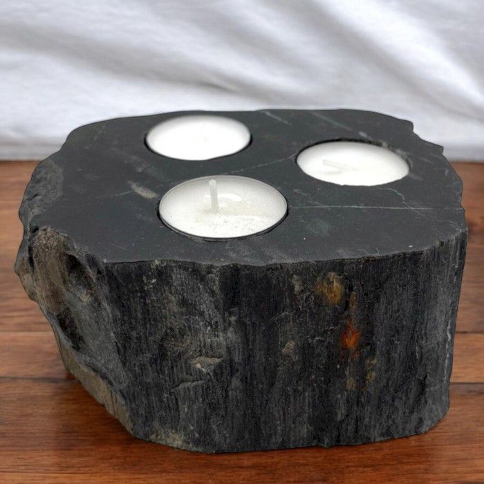 Petrified Wood Candle Holder - Triple AW-Dropship
