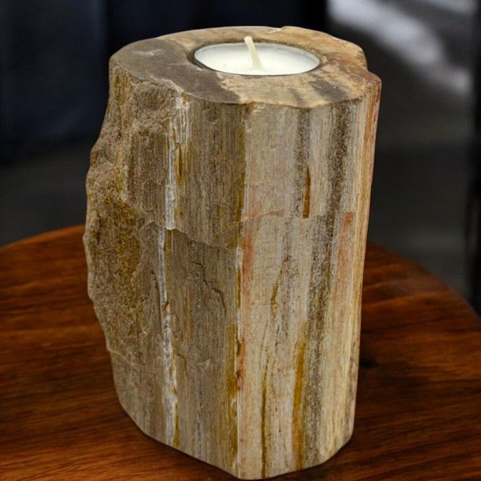 Petrified Wood Candle Holder - Single Tall AW Dropship UK
