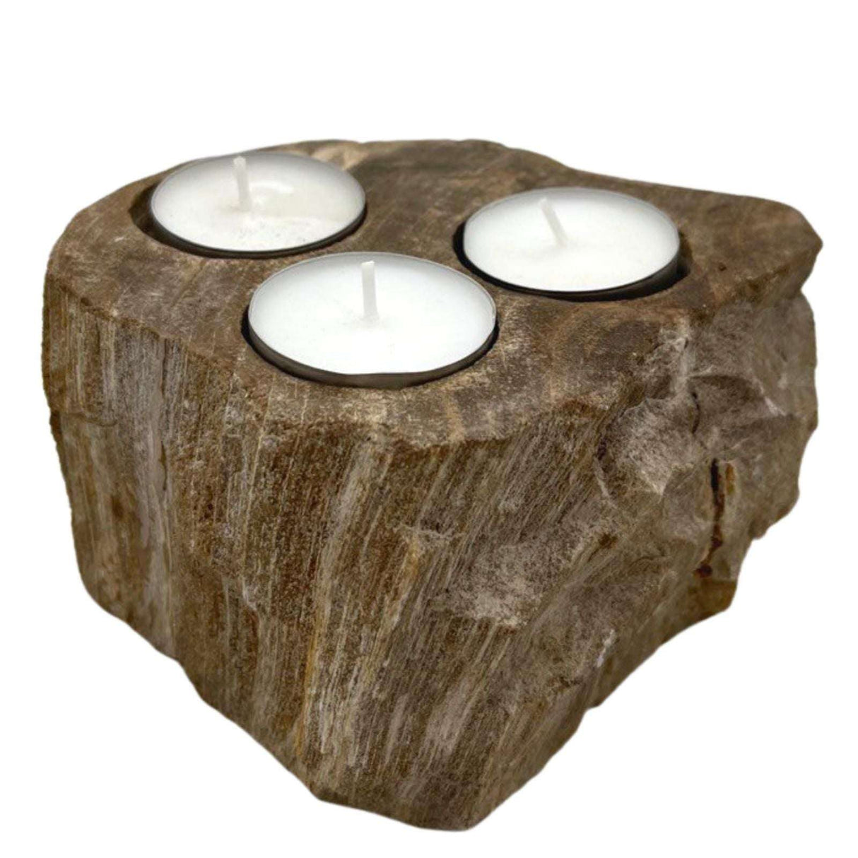 Petrified Wood Candle Holder - Triple AW-Dropship