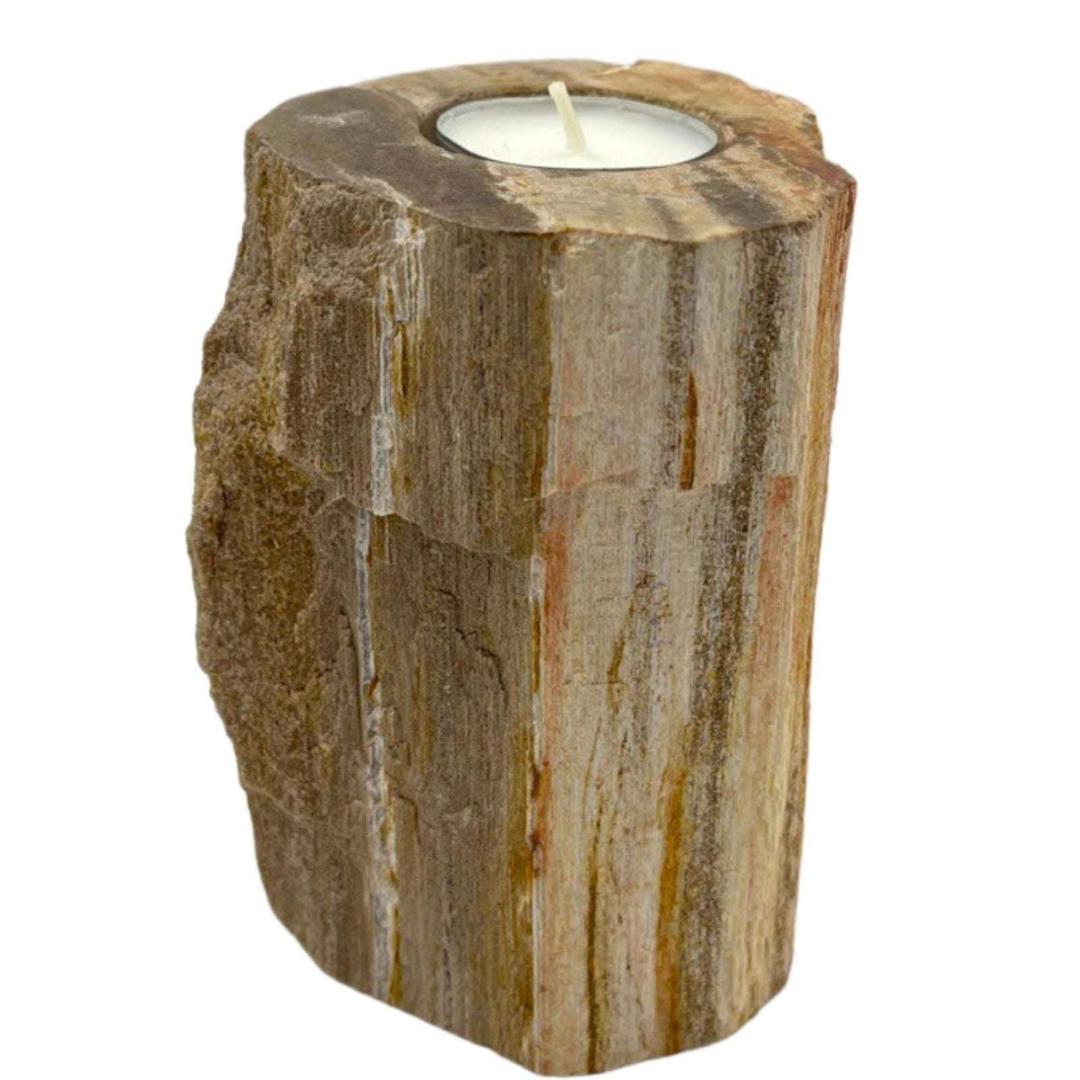 Petrified Wood Candle Holder - Single Tall AW Dropship UK