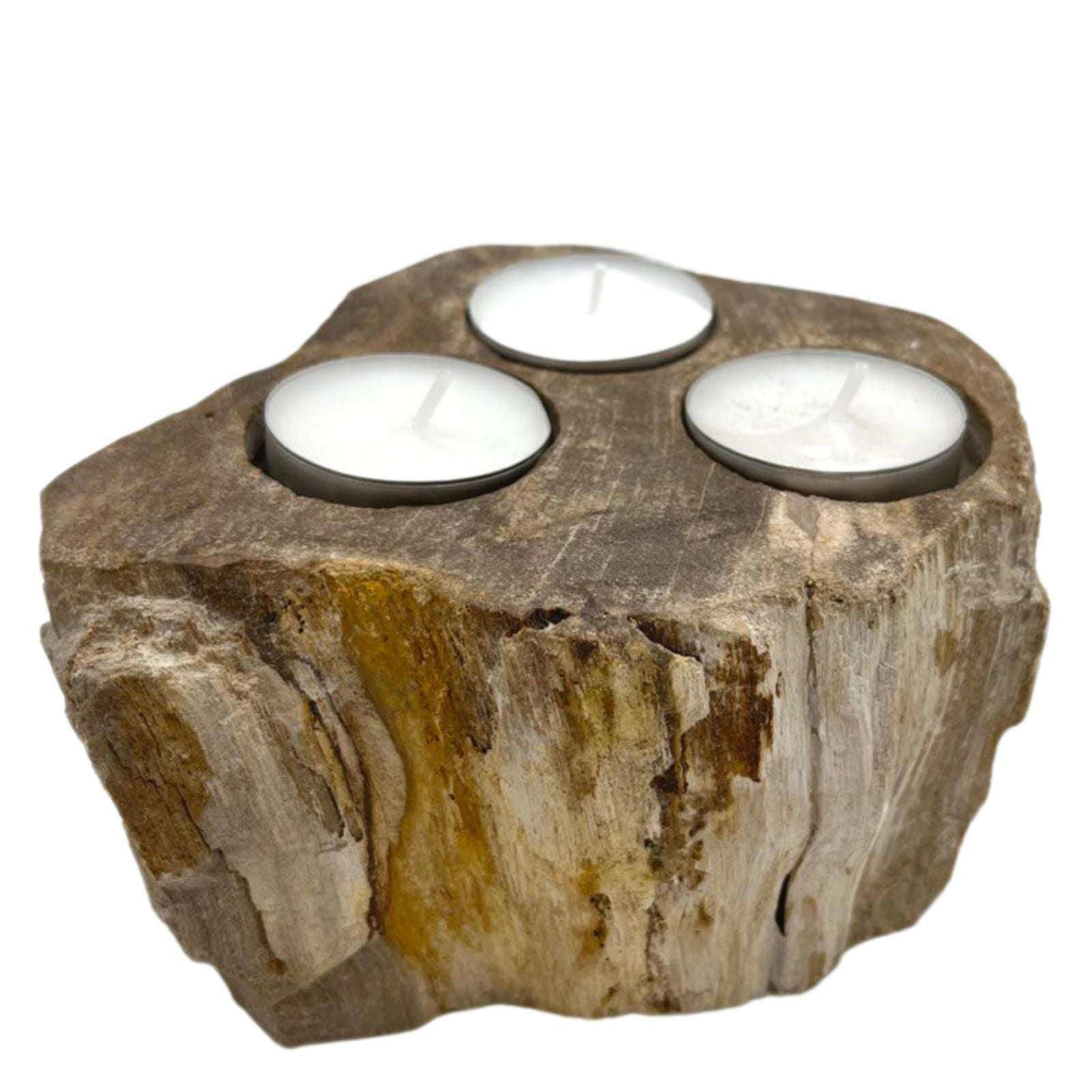 Petrified Wood Candle Holder - Triple AW-Dropship