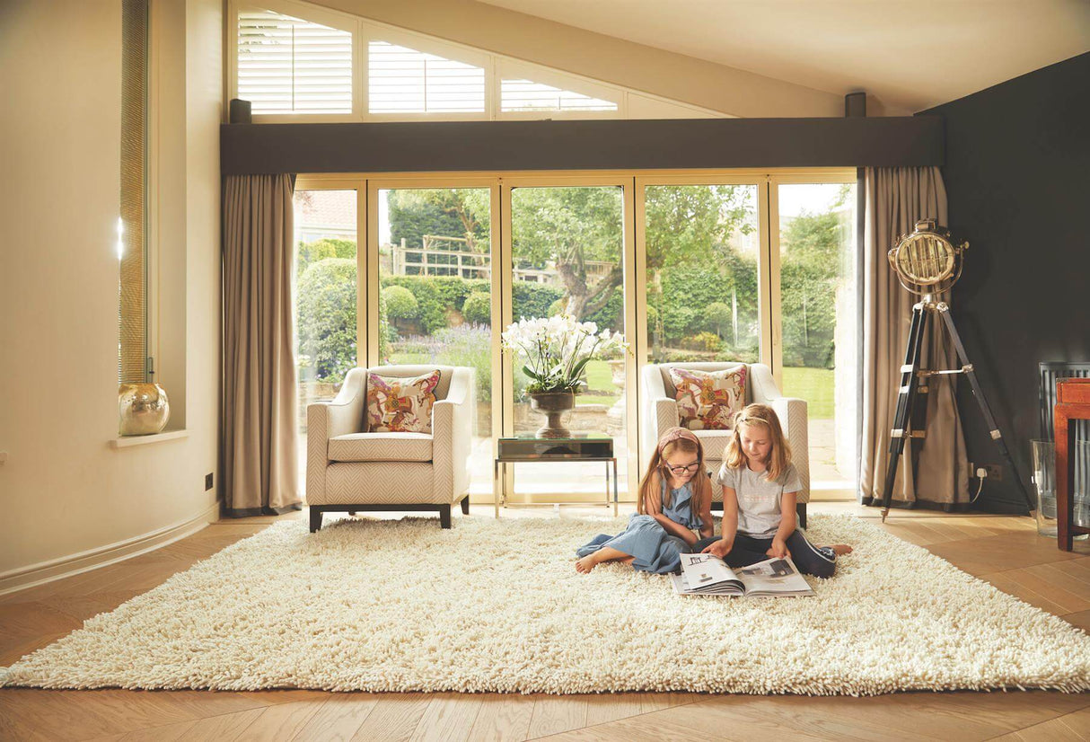 Soft and plush Wool Rug in a living room, perfect for family gatherings and relaxation