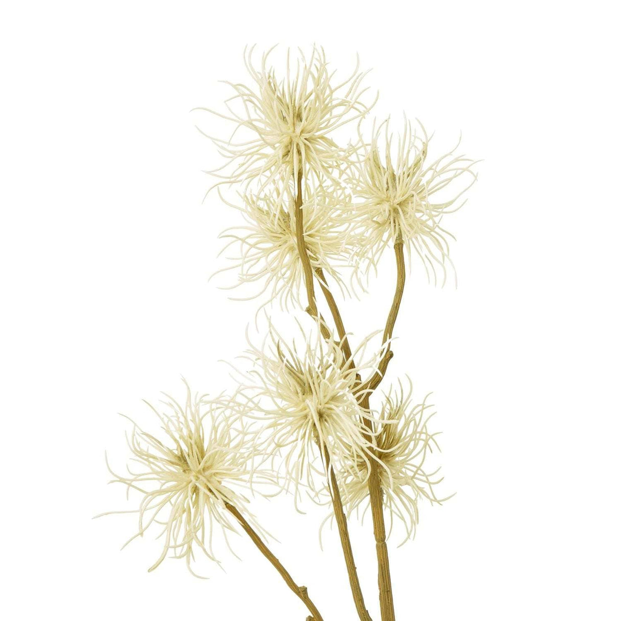 Shades 4 Seasons Xanthium Spray for Stylish Decor Shades 4 Seasons