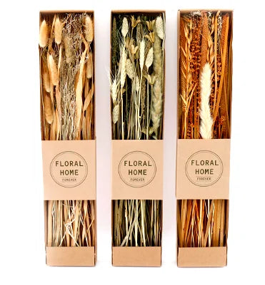 Set of 3 Dried Grasses in Display Box - Shades 4 Seasons