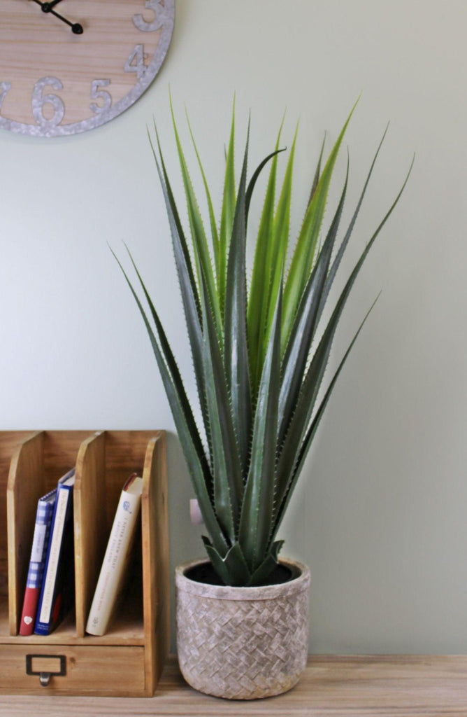 Artificial Aloe Vera Plant, 80cm - Shades 4 Seasons