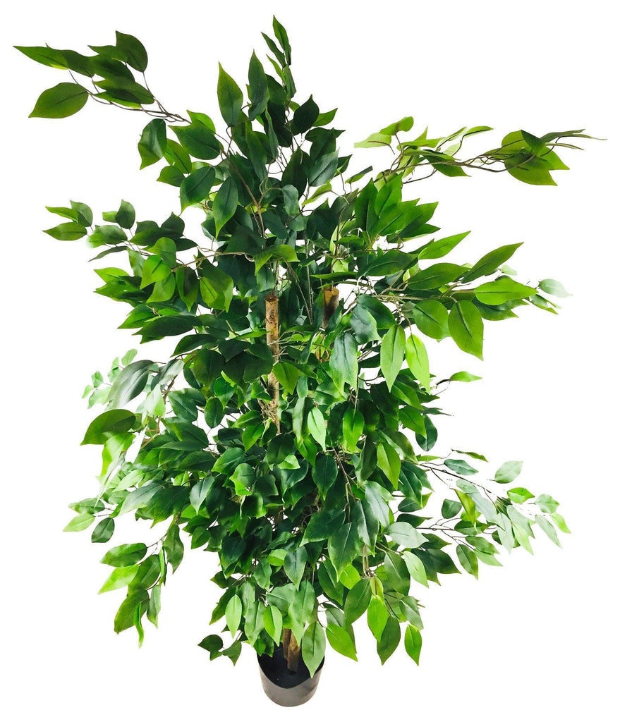 Artificial Ficus Tree With Pot 1.8m - Shades 4 Seasons