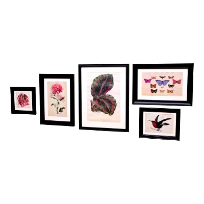 Set of 5 Boho Art in Black Frames - Shades 4 Seasons