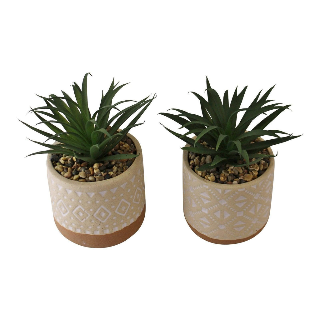 Set of 2 Faux Succulents In Ceramic Pots - Shades 4 Seasons