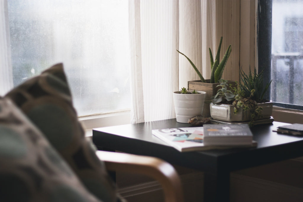 Modern black side tables decorated with potted plants placed next to a cozy window seat