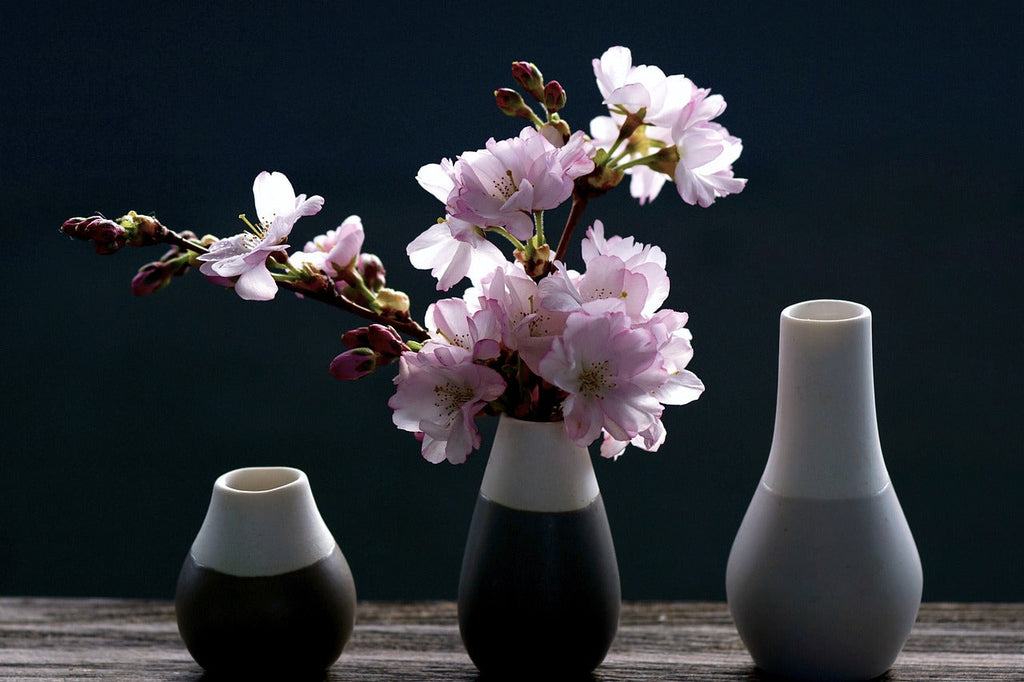 Elegant black and white vases with pink cherry blossoms on a wooden surface against dark background