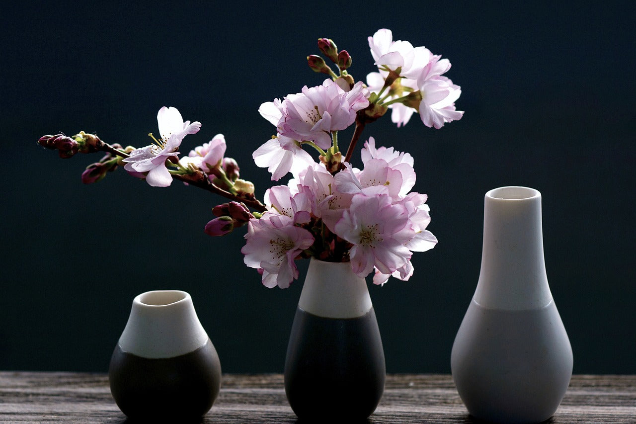 Elegant vases displaying delicate pink blossoms, enhancing home decor with style and charm