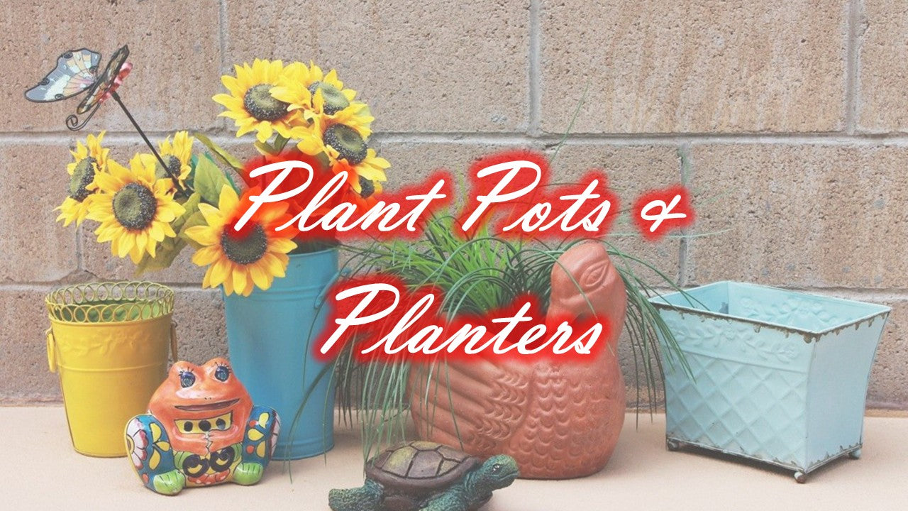 Colorful display of various plant pots and planters with flowers and decorative items for home and office decor