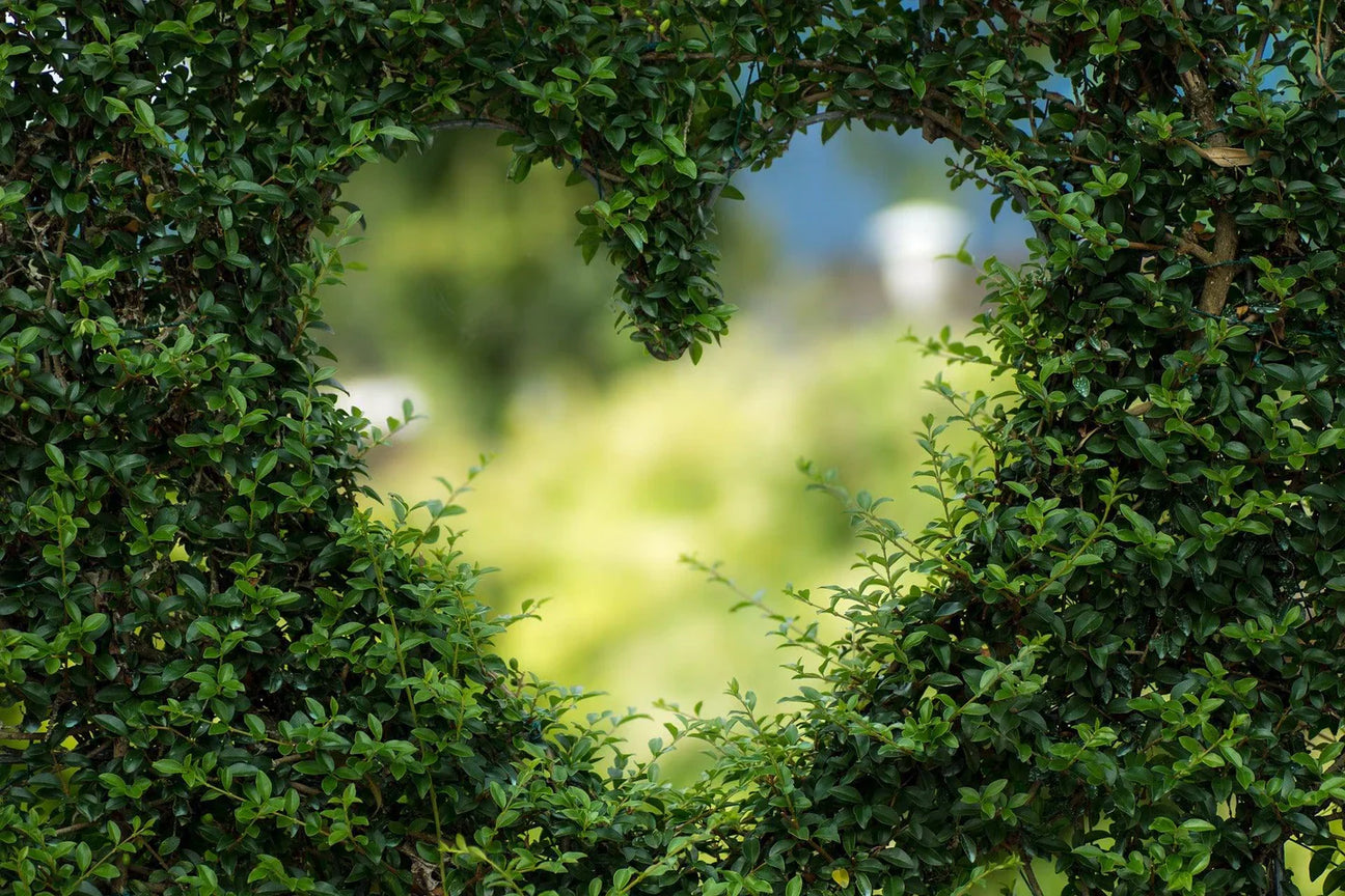 A heart-shaped opening in lush greenery, ideal for showcasing the Garden Centre's offerings