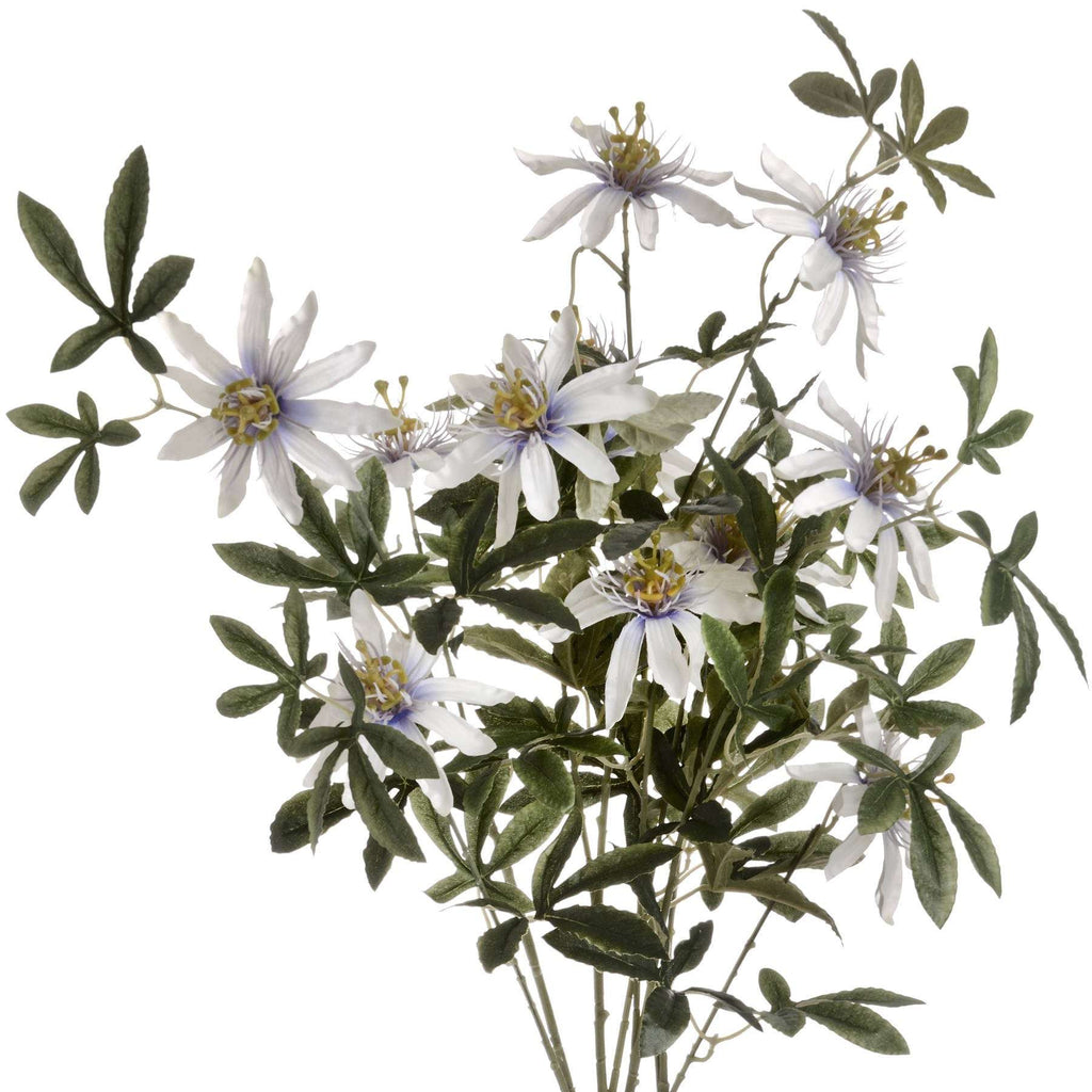 Passion Flower Spray Shades 4 Seasons