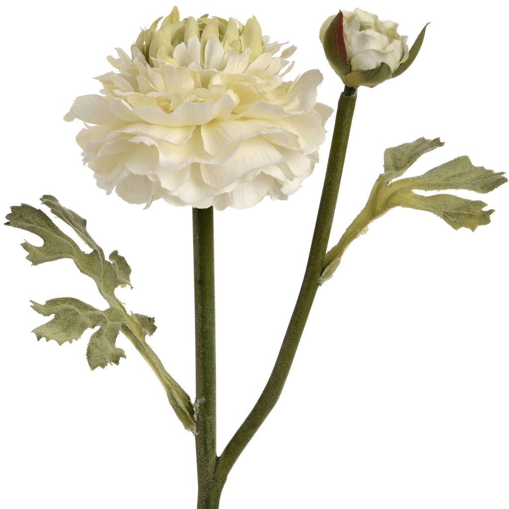 Green Ranunculus Spray Shades 4 Seasons