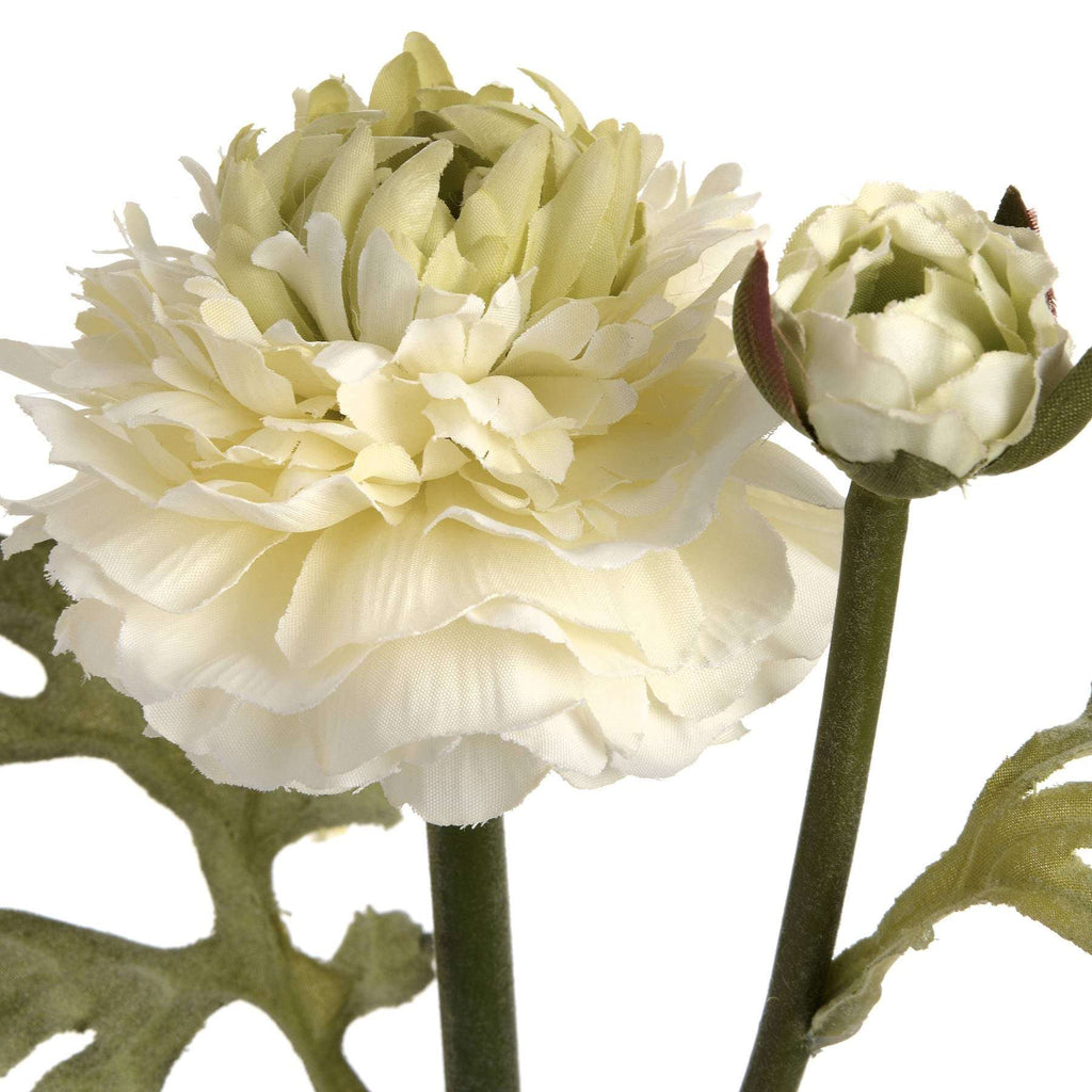 Green Ranunculus Spray Shades 4 Seasons
