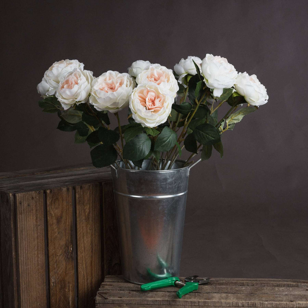 Blush Garden Rose PINK PLASTIC Shades 4 Seasons