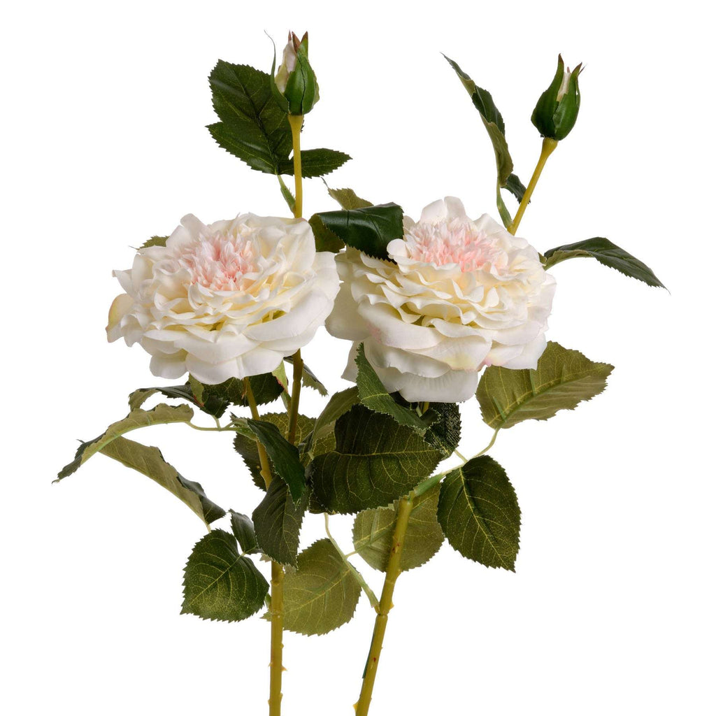 White Garden Rose Spray Shades 4 Seasons