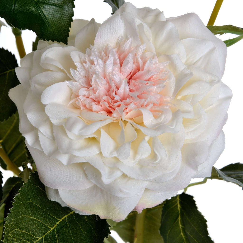 White Garden Rose Spray Shades 4 Seasons