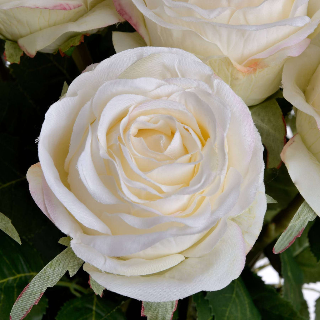 Traditional White Rose Shades 4 Seasons