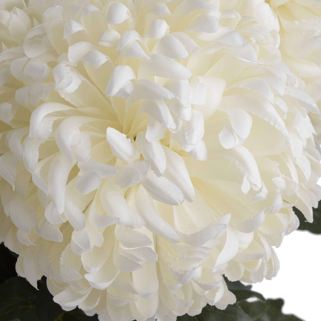 Large White Chrysanthemum Shades 4 Seasons