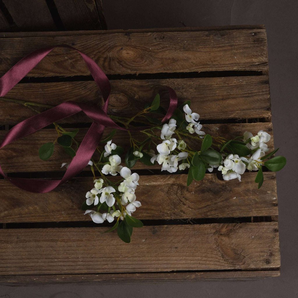 White Spring Mock Orange Flower Shades 4 Seasons