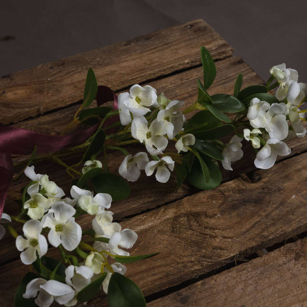 White Spring Mock Orange Flower Shades 4 Seasons