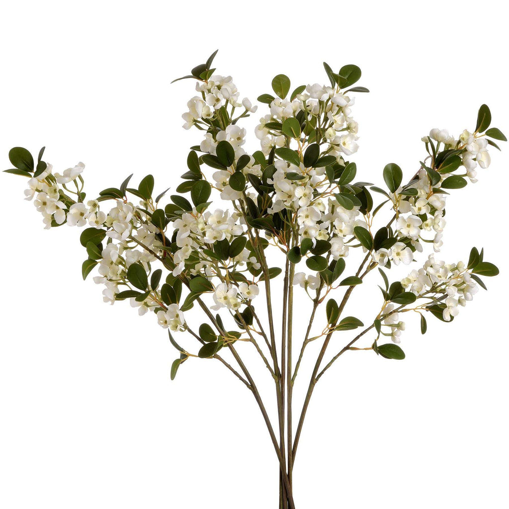 White Spring Mock Orange Flower Shades 4 Seasons