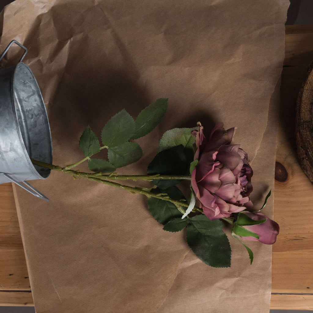 Dusty Pink Spray Rose Peony Shades 4 Seasons