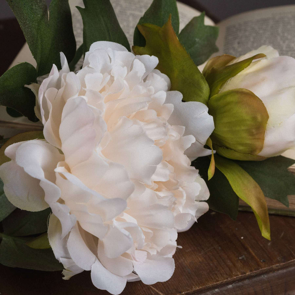 White Fashion Peony Shades 4 Seasons