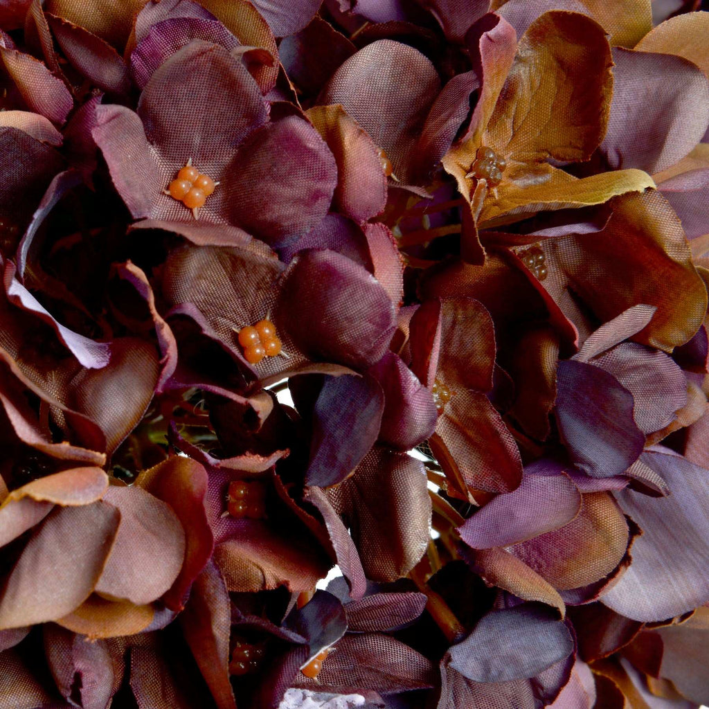 Autumn Coffee Hydrangea Shades 4 Seasons