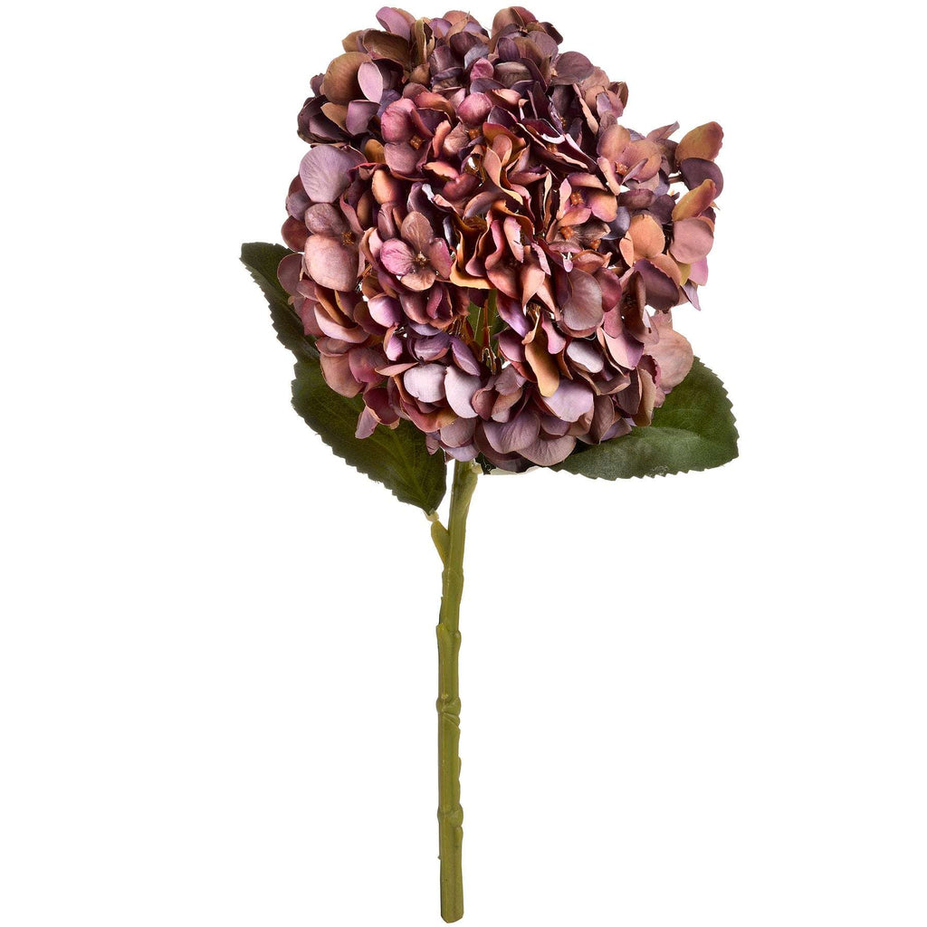Autumn Coffee Hydrangea Shades 4 Seasons
