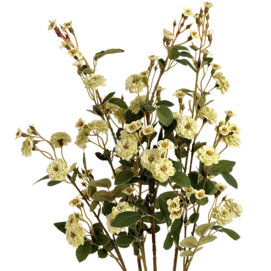Green Wild Meadow Rose Shades 4 Seasons