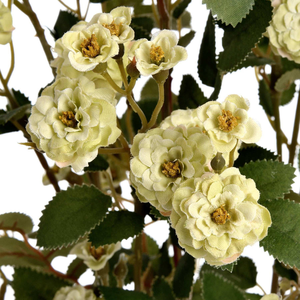 Green Wild Meadow Rose Shades 4 Seasons
