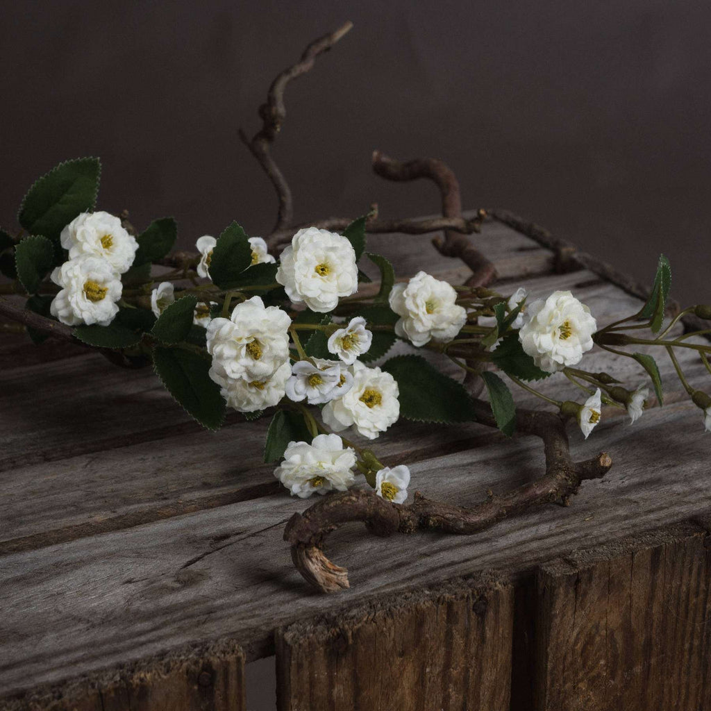 White Wild Meadow Rose Shades 4 Seasons