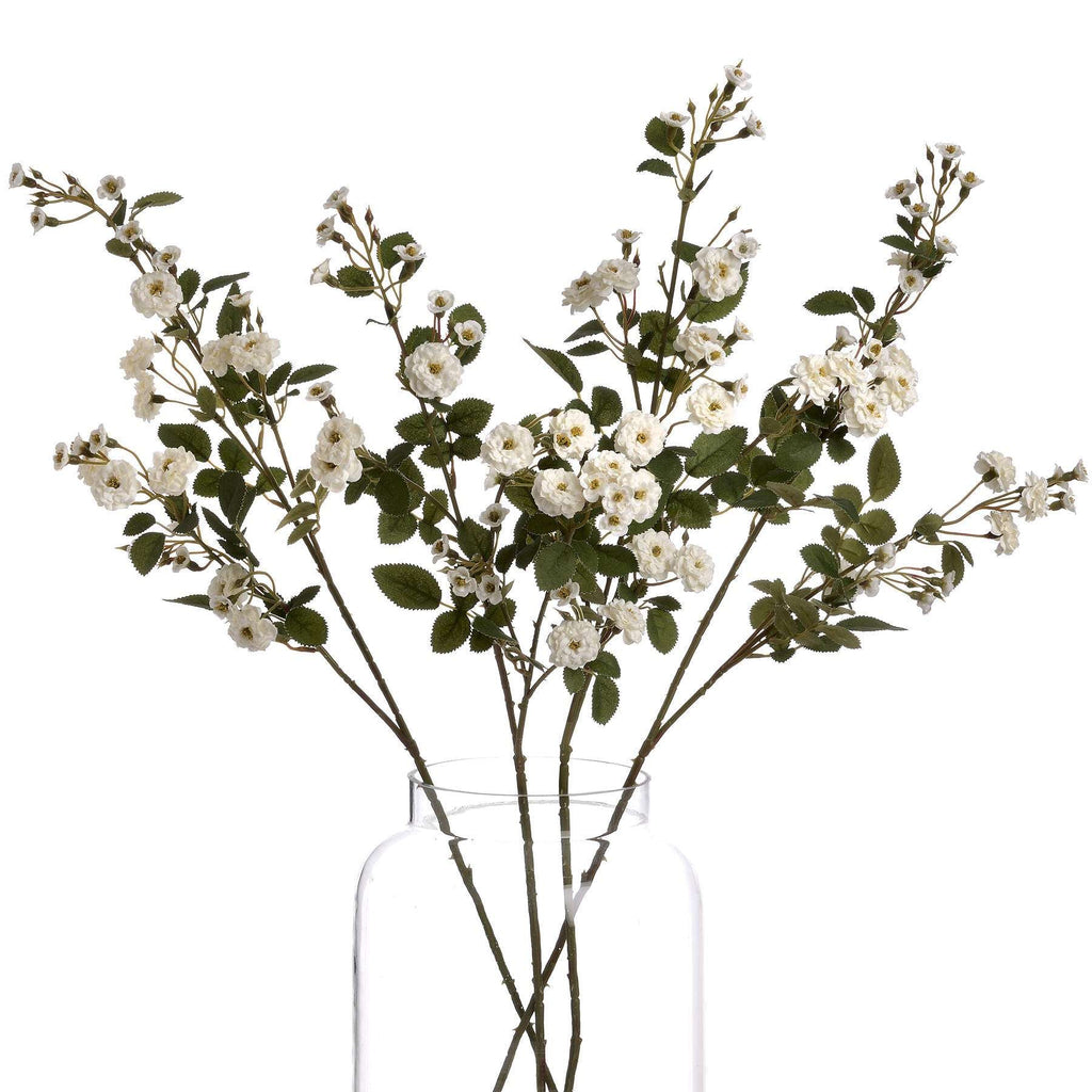 White Wild Meadow Rose Shades 4 Seasons