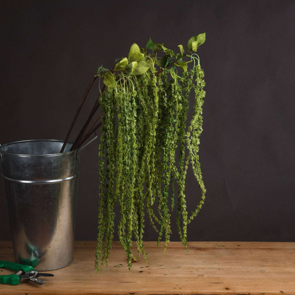 Green Amaranthus GREEN PLASTIC Shades 4 Seasons